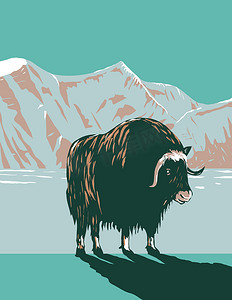 冬天海报摄影照片_阿拉斯加西北部克鲁森斯特恩角国家纪念碑冬季的麝牛或麝牛 WPA 海报艺术