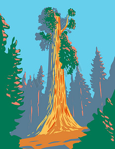 通用海报摄影照片_加利福尼亚州国王峡谷国家公园格兰特将军树丛中的格兰特将军树一棵巨型红杉 WPA 海报艺术