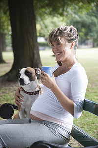公园长椅的孕妇与狗