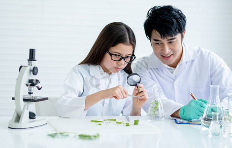 作为年轻科学家的小女孩使用放大镜分析植物组织，并与坐在附近的老师讨论并咨询实验，并在实验室或课堂上记录数据。