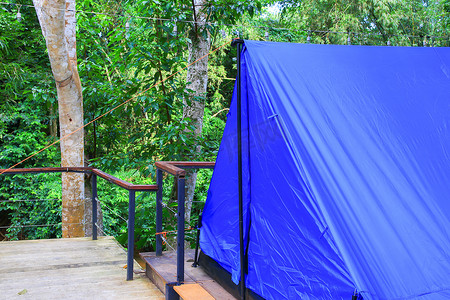 关闭帐篷蓝色住宿露营在森林里放松