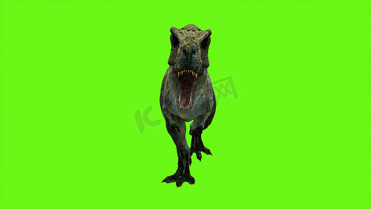 绿色屏幕上的 T Rex Tyrannosaur 恐龙。 