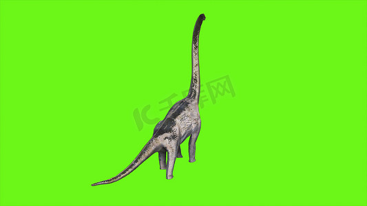 绿色屏幕上的恐龙 Braquiossauro。 