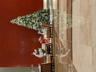 装饰过的圣诞树室内办公楼