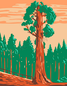 通用海报摄影照片_格兰特将军树一棵巨大的红杉 Sequoiadendron Giganteum 在加州国王峡谷国家公园 WPA 海报艺术