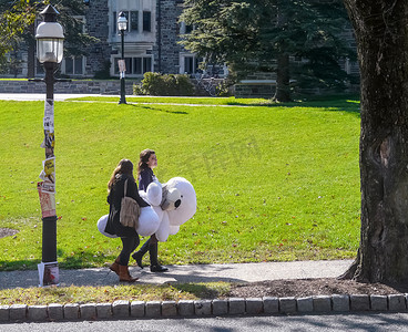 普林斯顿大学校园-携带大白色玩具的学生