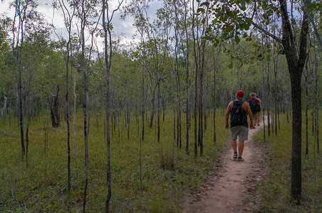 卡卡卡卡卡卡摄影照片_游客在卡卡杜国家公园徒步旅行，北特罗托里，北领地，澳大利亚