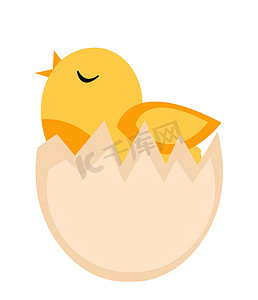 从鸡蛋孵化出来的雏鸟，黄色的鸡图标，扁平的风格。
