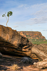 卡卡卡卡卡卡摄影照片_澳大利亚卡卡杜国家公园乌比尔 Nadab 观景台美丽的孤零树