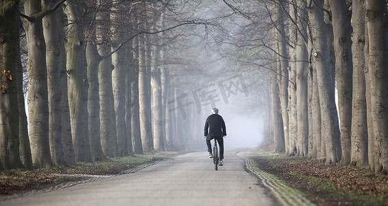 荷兰乌得勒支山雾蒙蒙的风景中骑自行车的人和山毛榉树干
