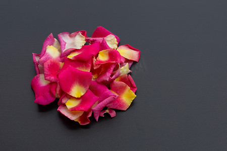 玫瑰创意设计摄影照片_在深色背景上的玫瑰花瓣。