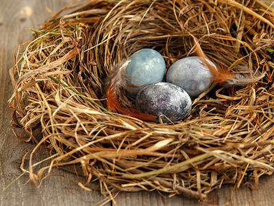 干草巢中彩绘鸡蛋和鸡毛
