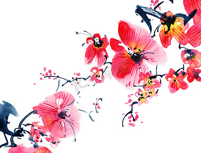 手绘樱花摄影照片_盛开的樱花树枝