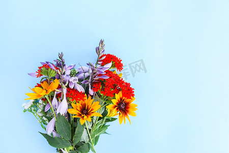 生日小卡片摄影照片_淡蓝色背景上的小束花园花。