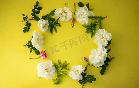 在黄色背景上，圆形的花框和玫瑰果叶。节日的概念。