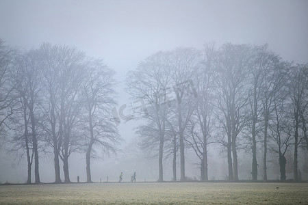 两个人在乌得勒支 Heuvelrug 的 Doorn 附近的晨雾中在橡树之间慢跑