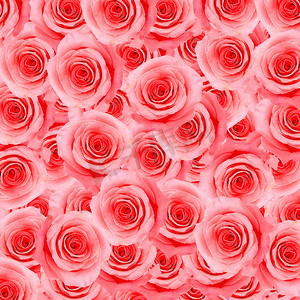 粉红玫瑰图案