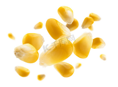成熟的摄影照片_成熟的玉米粒漂浮在白色背景上