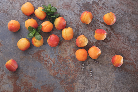 多年生植物摄影照片_新鲜杏子。
