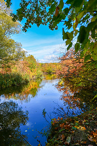 十一月风景摄影照片_阳光明媚的日子里，五颜六色的秋天风景，树上有水和云