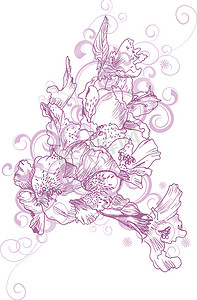手绘粉色花卉摄影照片_粉色手绘花朵和装饰曲线