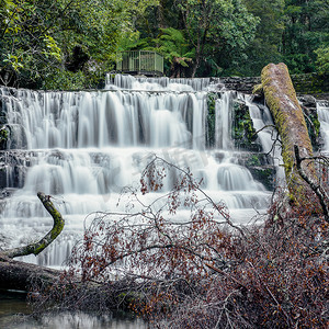 塔斯马尼亚中部地区的利菲瀑布