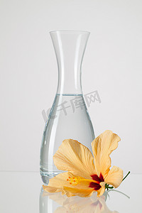 有清水和木槿花的花瓶