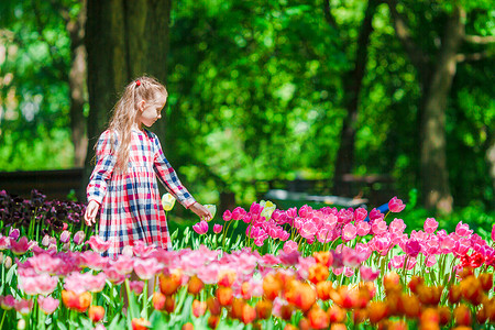 盛开的郁金香花园里的小可爱女孩