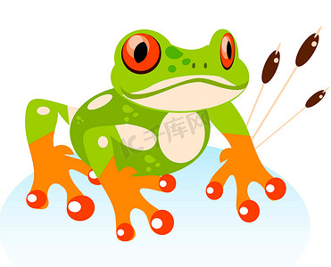 矢量可爱卡通友好青蛙，五颜六色的红眼树蛙我
