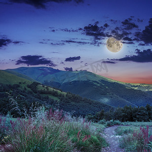 月亮山谷摄影照片_夜空下山坡上山谷附近的松树