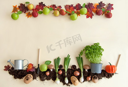 秋天的水果和蔬菜