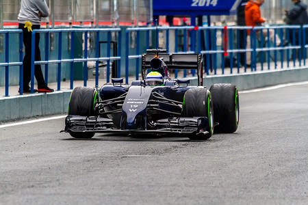 威廉姆斯 F1 车队，菲利普马萨，2014
