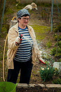 园艺和人的概念 — 快乐的老年女性在夏天用花园软管浇灌草坪