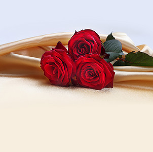 丝绸邀请函摄影照片_丝绸背景上的红玫瑰