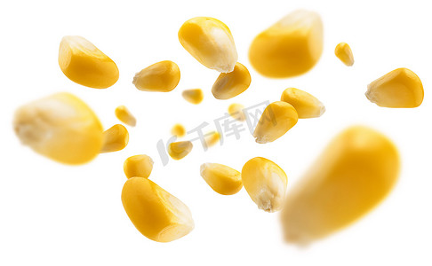 悬浮皮床摄影照片_成熟的玉米粒漂浮在白色背景上