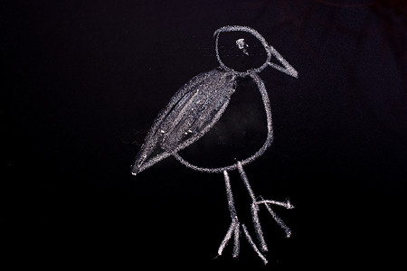 猪简笔画摄影照片_黑板上用粉笔画的鸟