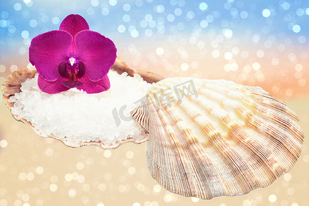 闪闪发光的沙滩上的兰花和海盐贝壳