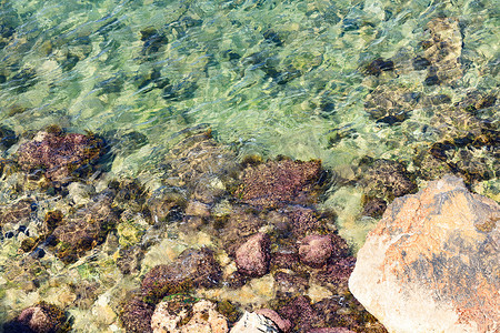 彩色岩石摄影照片_浅海水背景中带绿色苔藓的彩色岩石