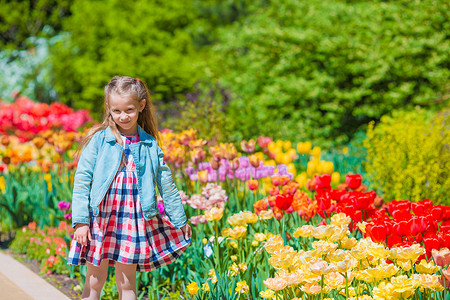 盛开的郁金香花园里的小可爱女孩