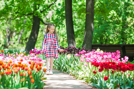 盛开的郁金香花园里的小可爱女孩。