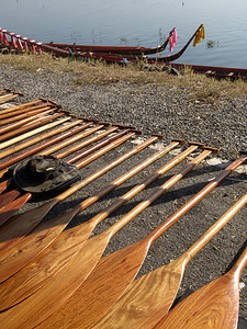 划龙舟摄影照片_龙舟比赛的桨