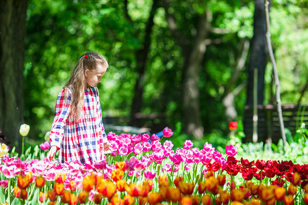 郁金香花园里有花的小可爱女孩