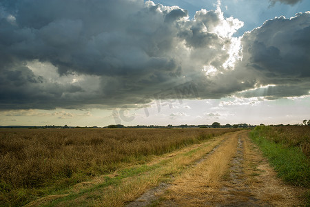 穿过田野和雨云的草路