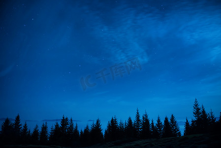 夜空摄影照片_蓝色黑暗夜空下的松树林