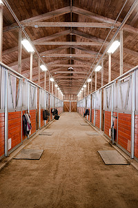 sport摄影照片_Horse Barn Animal Sport Paddock Equestrian Ranch 赛马场