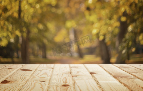 秋季背景图像：秋季公园的木桌。
