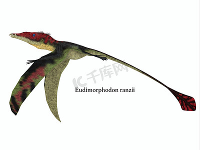 字体变形摄影照片_Eudimorphodon Wings Down with 字体