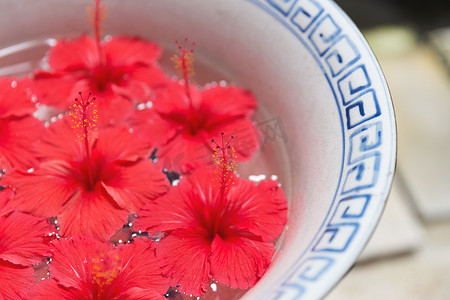 漂浮在大碗里面的水的红色芙蓉花