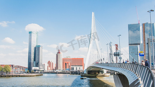 荷兰鹿特丹伊拉斯谟大桥
