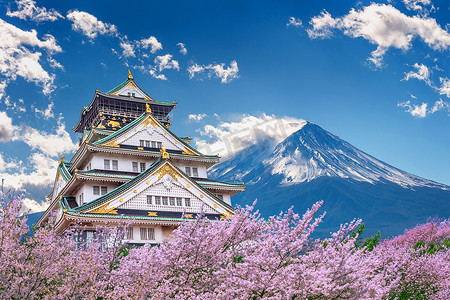 粉色城堡摄影照片_春天有樱花的富士山和城堡。